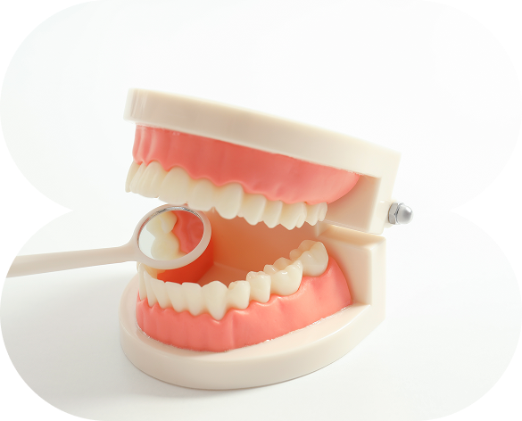 Check-ups and Preventative Care